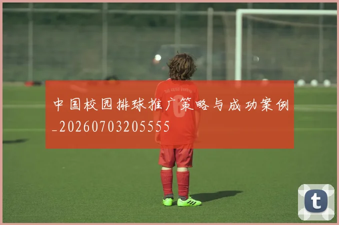 中国校园排球推广策略与成功案例_20260703205555