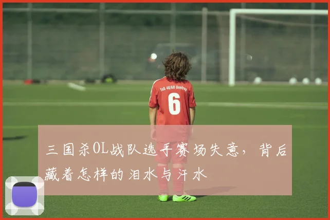 三国杀OL战队选手赛场失意，背后藏着怎样的泪水与汗水
