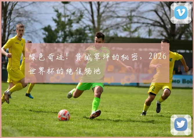 绿色奇迹!费城草坪的秘密,2026世界杯的绝佳场地
