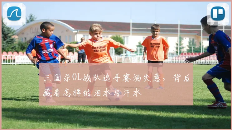三国杀OL战队选手赛场失意,背后藏着怎样的泪水与汗水