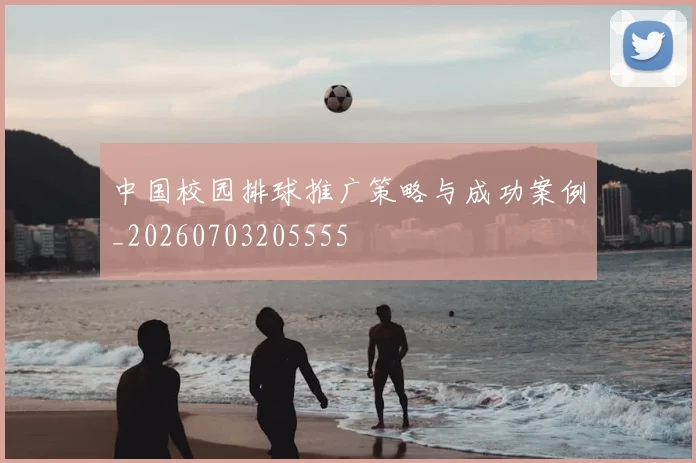 中国校园排球推广策略与成功案例_20260703205555